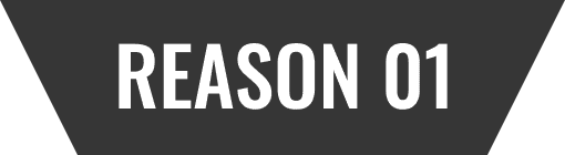 REASON 01