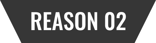 REASON 02