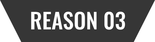 REASON 03