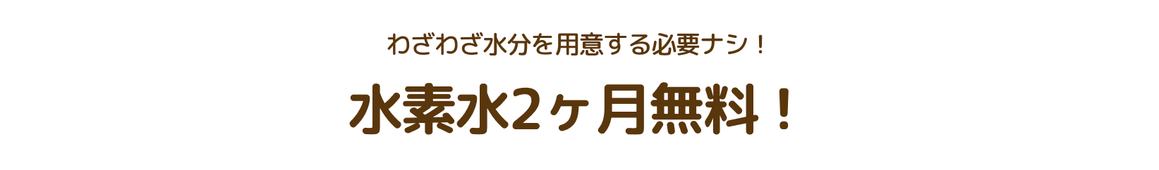 わざわざ水分を用意する必要ナシ！水素水2ヶ月無料！